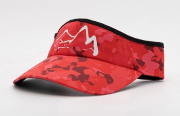 Sun Visor